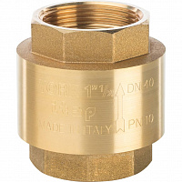SVC-0002-000040 STOUT 1 1/2" Клапан обратный пружинный муфтовый с пластиковым седлом